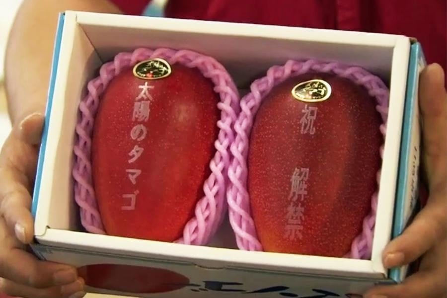 แตงโมสี่เหลี่ยมกับผลไม้ที่แพงที่สุดในญี่ปุ่น