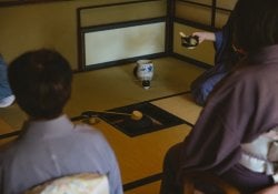 Hishaku: conheça mais sobre o ritual de purificação japonês