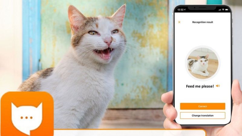 12 apps for taking care of pets and tamagotchis