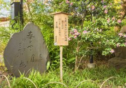 Tokio, Japan - 13. November 2020: Japanischer Stein Kuhi Stele, der dem Haiku -Gedicht Harumoyaya gewidmet ist, was den Frühlingskunst bedeutet, der von Dichter Matsuo Basho geschrieben wurde, der zum Mukojima -hyakkaen -Gärten beigetragen hat.
