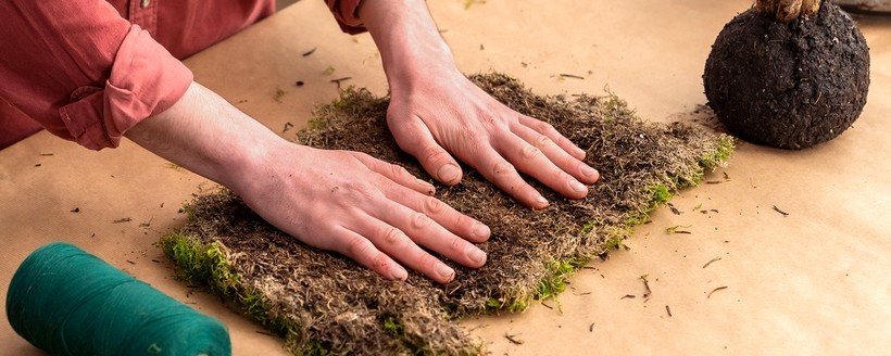 天然苔鉢「苔玉」