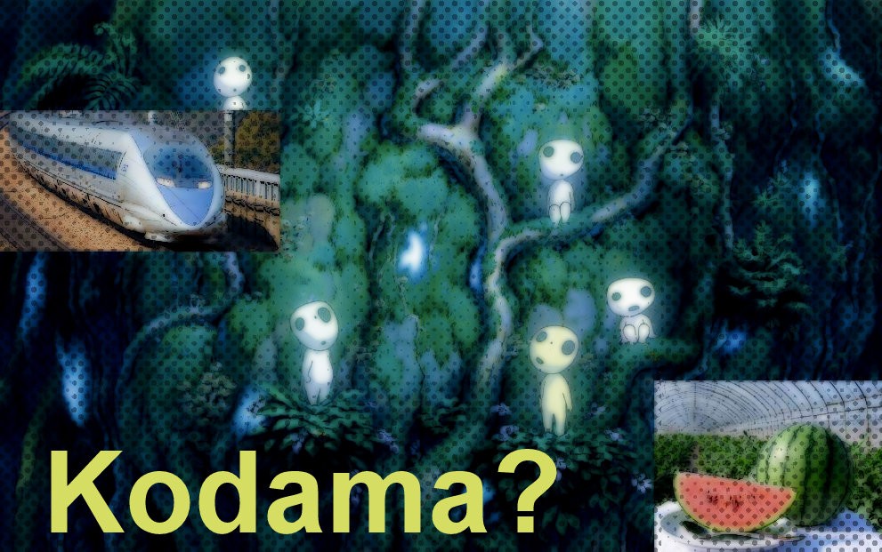 kodama = eco