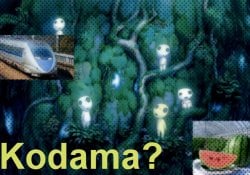 What does Kodama mean in Japanese?