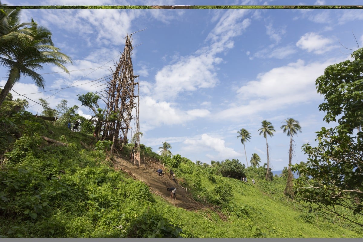Pentakosta, vanuatu 17 Juli 2014, ritual penyelaman tanah tradisional (nangol) dengan tanaman merambat diikat ke kaki mereka, asal mula bungee jumping modern, editorial