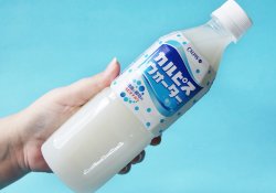 Calpico y calpis - la bebida de leche fermentada japonesa