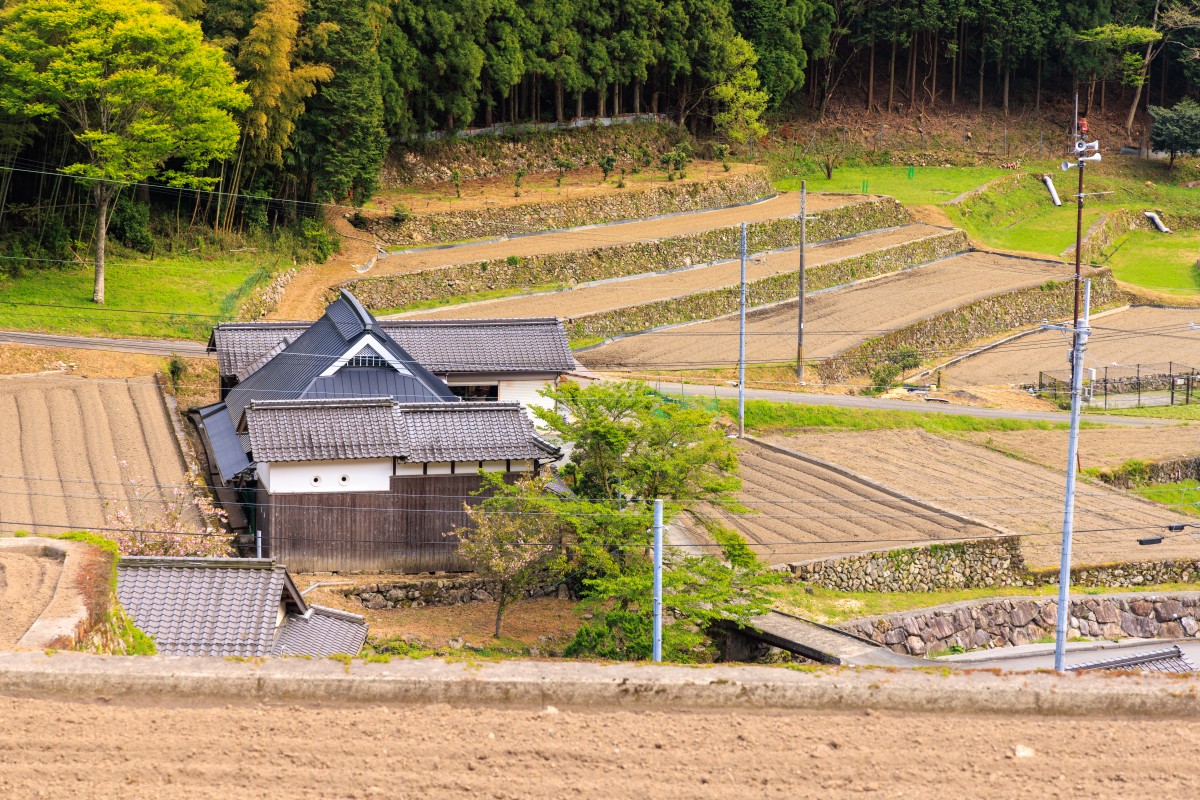 Traditional wooden japanese house by plowed terraced rice fields. High quality photo