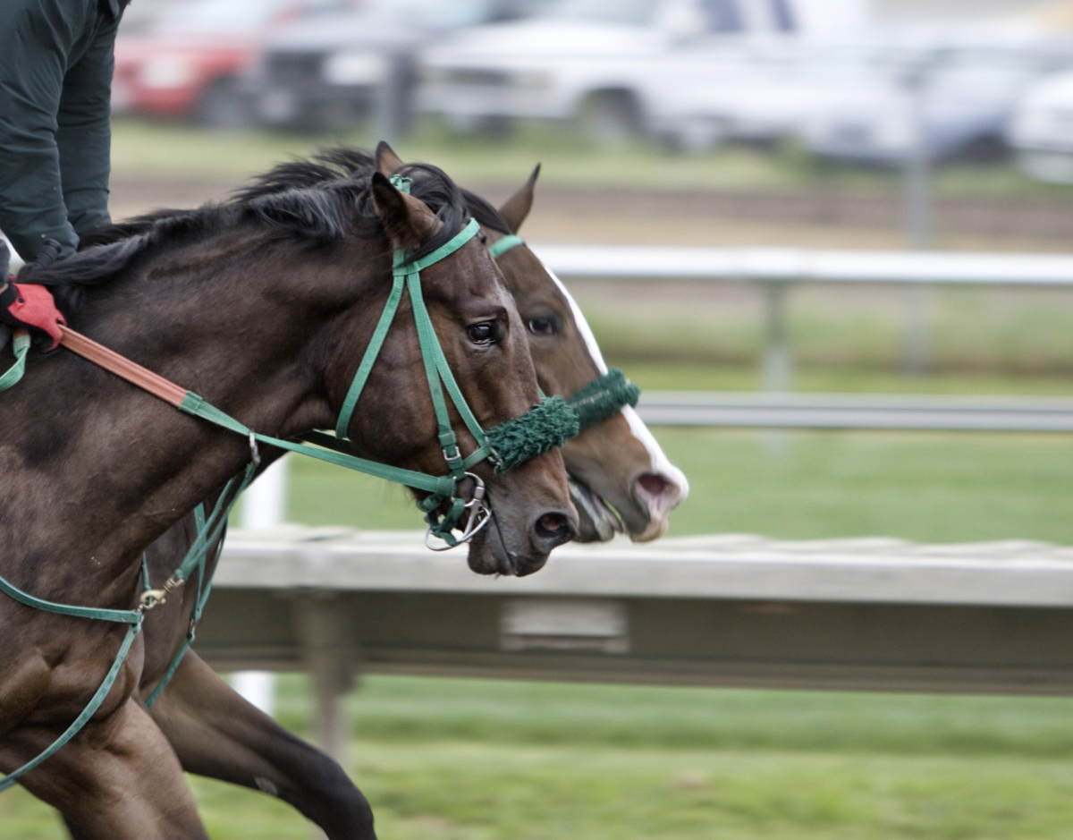 Emmet Mullins: the horse trainer behind some of the fastest racehorses in history