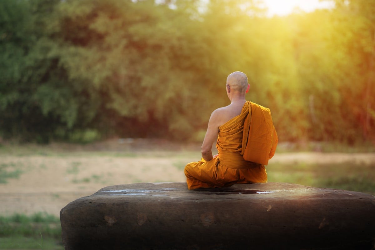 仏僧は森の中で瞑想を練習する