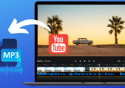 Ways to extract audio from any video online & pc