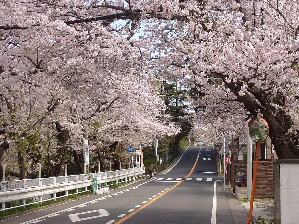Kamakurayama