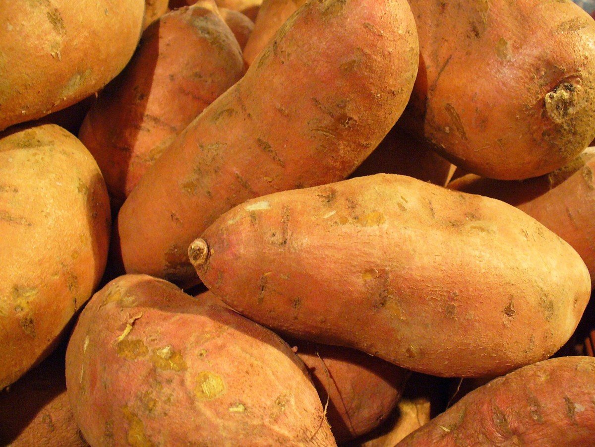 Kuri kinton chestnut und süße Kartoffel