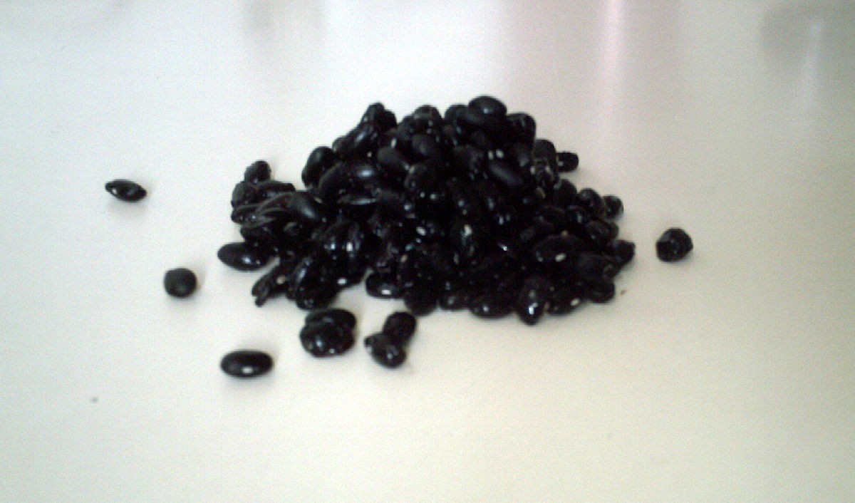 Kuromame sweered black soy