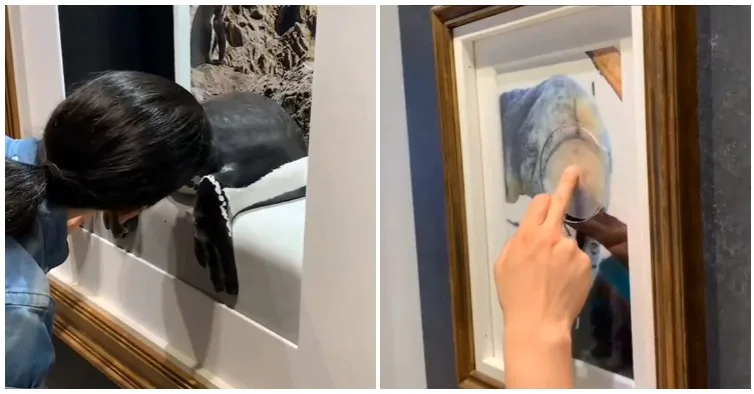 Exhibition in Japan allows visitors to smell the butts of animals