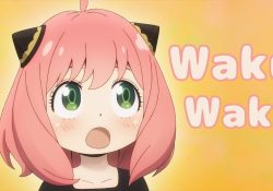 Was bedeutet "waku waku" auf Japanisch?